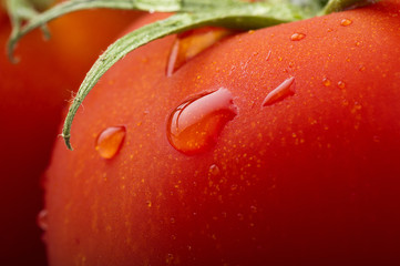 Red tomato and drops water close up © Orlando Bellini