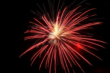 Fototapeta premium Feu d'artifice