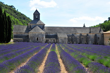 Abbaye de Senanque
