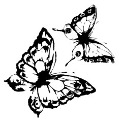 butterflies design