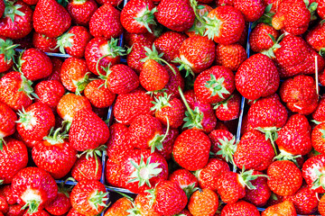 Fresh strawberries