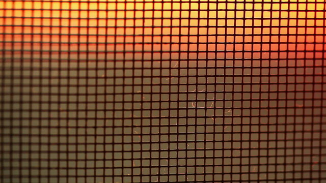 Grid at sunset light.