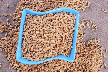 wheat in bowl & outside bowl isolated