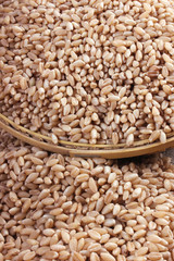 wheat in Bamboo Basket & Outside Bamboo Basket Isolated