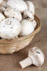 mushrooms