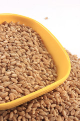 wheat in bowl & outside bowl isolated