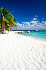 tropical sea