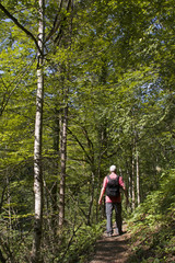 Obraz premium Protected landscape Canyon Kamacnik in Gorski kotar in Croatia