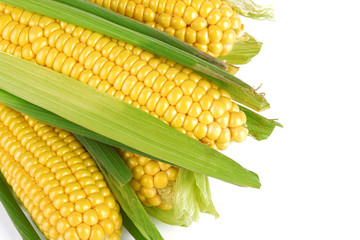 corn