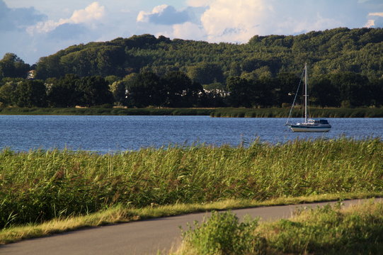 Segelboot vor Schilf
