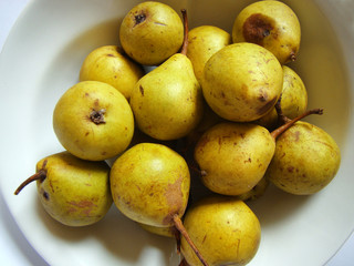 organic yellow pears on white background