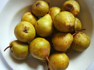 old, rotten organic yellow pear