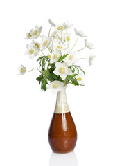 Beautiful bouquet of white flowers in a ceramic vase isolated on
