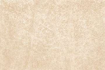 Antique Parchment Off-White Grunge Texture