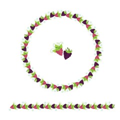 blackberry and raspberry decoration borders