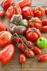 Frische Tomaten