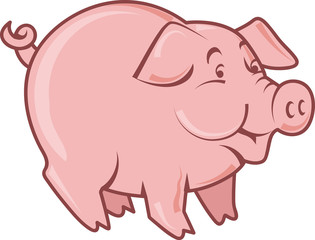 Cute Pig