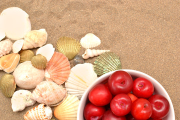 Plums and shells