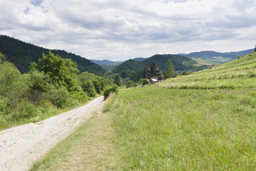 Fototapete bei efototapeten.de bestellen   