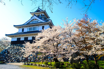 Fototapeta premium Nagahama Castle