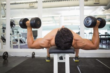 Muscular man exercising with dumbbells in gym