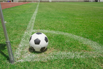 Soccer ball in the goal