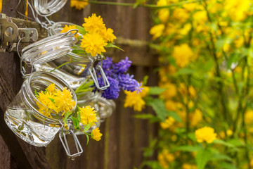 Blumen am Gartenzaun