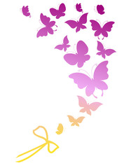 butterflies design
