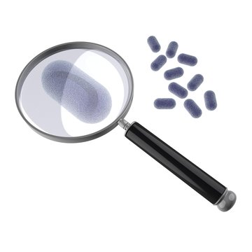 Analyse micro organisme