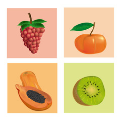 fruits