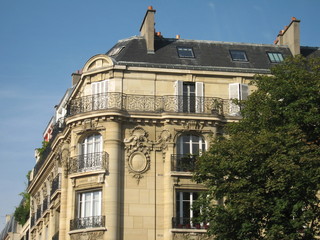 Immeuble parisien caché derrière un arbre - obrazy, fototapety, plakaty