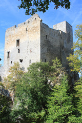 Fototapeta na wymiar Burg Reussenstein