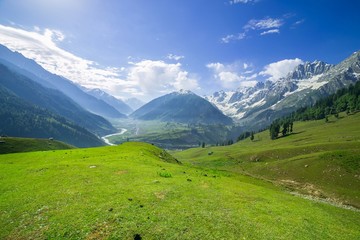 Obraz premium landscape Mountainand Field