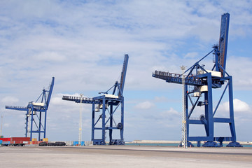 cranes in a seaport