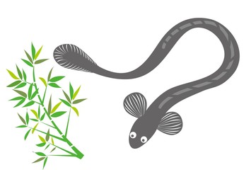 うなぎと笹の葉