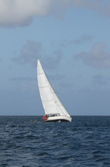Sailing vessel in sea. Saint Lucia © photobeginner