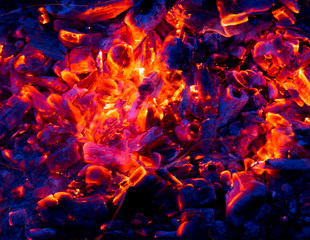 Campfire with burning firewood on foreground closeup