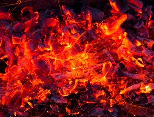 Fototapeta na wymiar Campfire with burning firewood on foreground closeup
