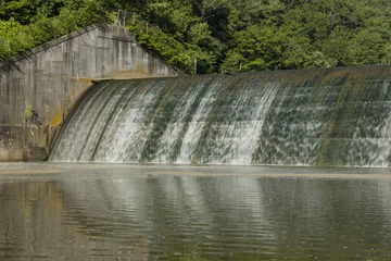 Wall murals Dam Dam Lake Versailles