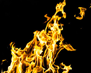 flame fire on black background