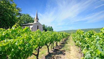 Fototapeta na wymiar France - Chartreuse de Valbonne