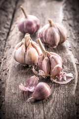 garlic bulb on rustic wooden background