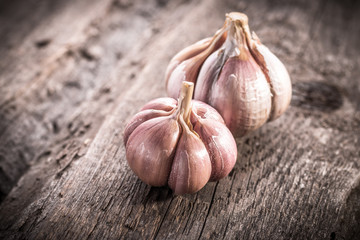 garlic bulb on rustic wooden background