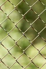Fototapeta premium close up pattern Barb Wire