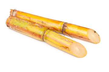 Sugar cane isolated on a white studio background.