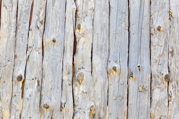 Fototapeta premium wooden wall background with log