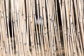 Fototapeta premium Japanese bamboo texture good for background