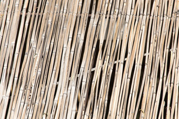 Japanese bamboo texture good for background