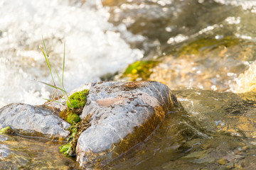 stones in the mountain river