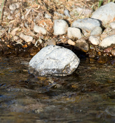 Fototapeta na wymiar stones in the mountain river